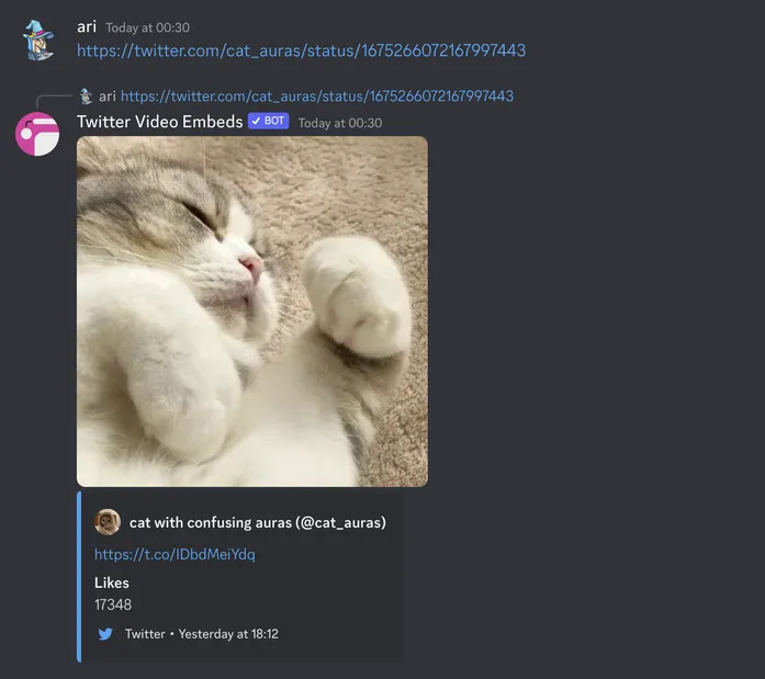 Usage of twitter embed bot. Ari pastes a twitter link and the twitter embeds bot returns an embed with a video of a cat and details about the post